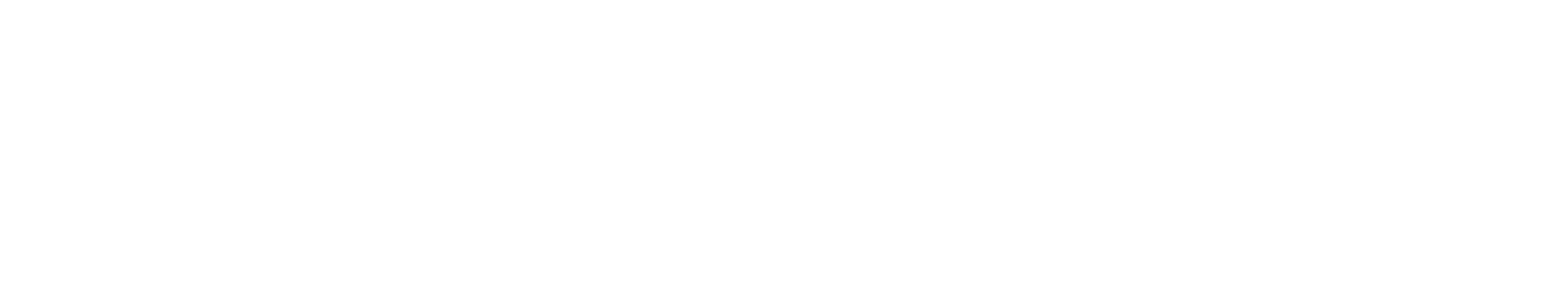 NASEM_Logo_white-tight